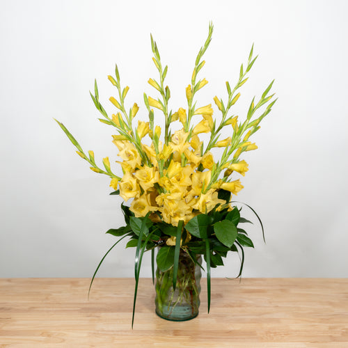Glorious Gladiolus