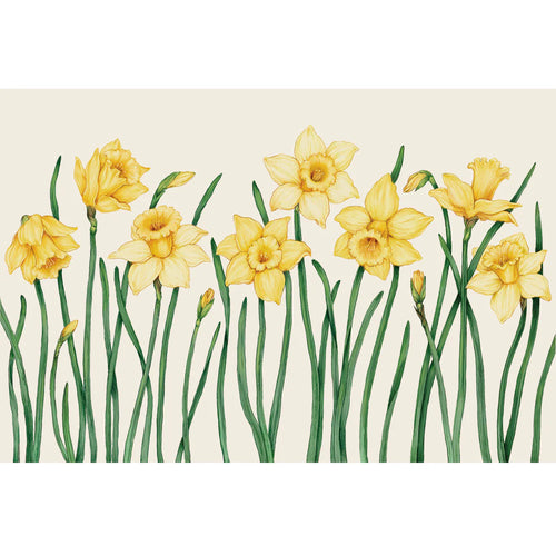 Hester & Cook Paper Placemats
