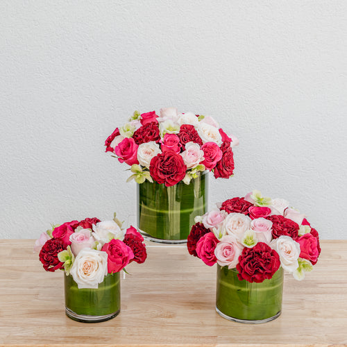 Low & Lush Roses