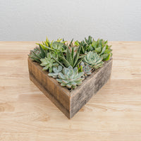 Wooden Heart Succulent Garden