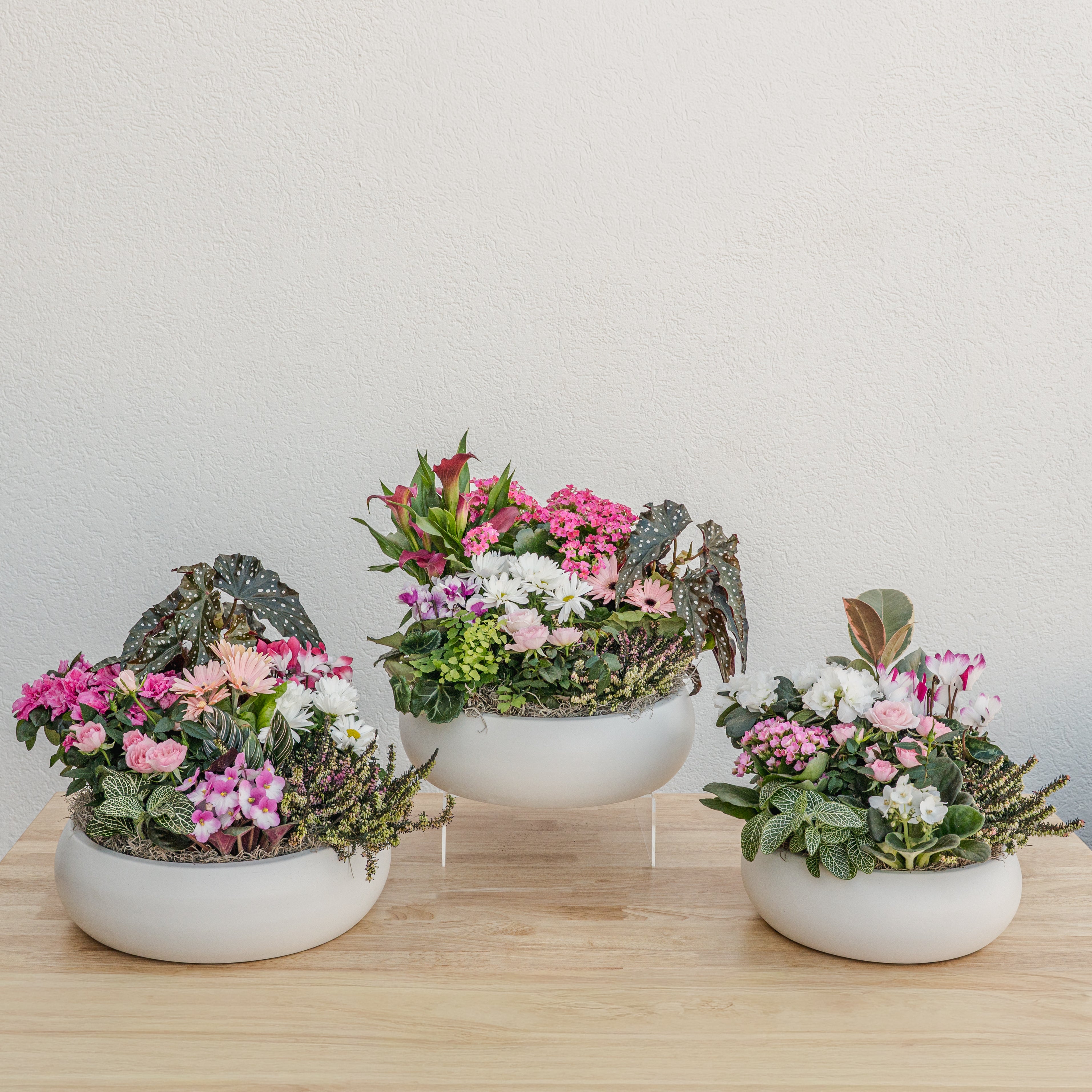 Valentine's Day Garden