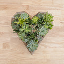 Wooden Heart Succulent Garden