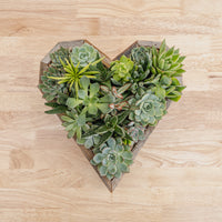 Wooden Heart Succulent Garden
