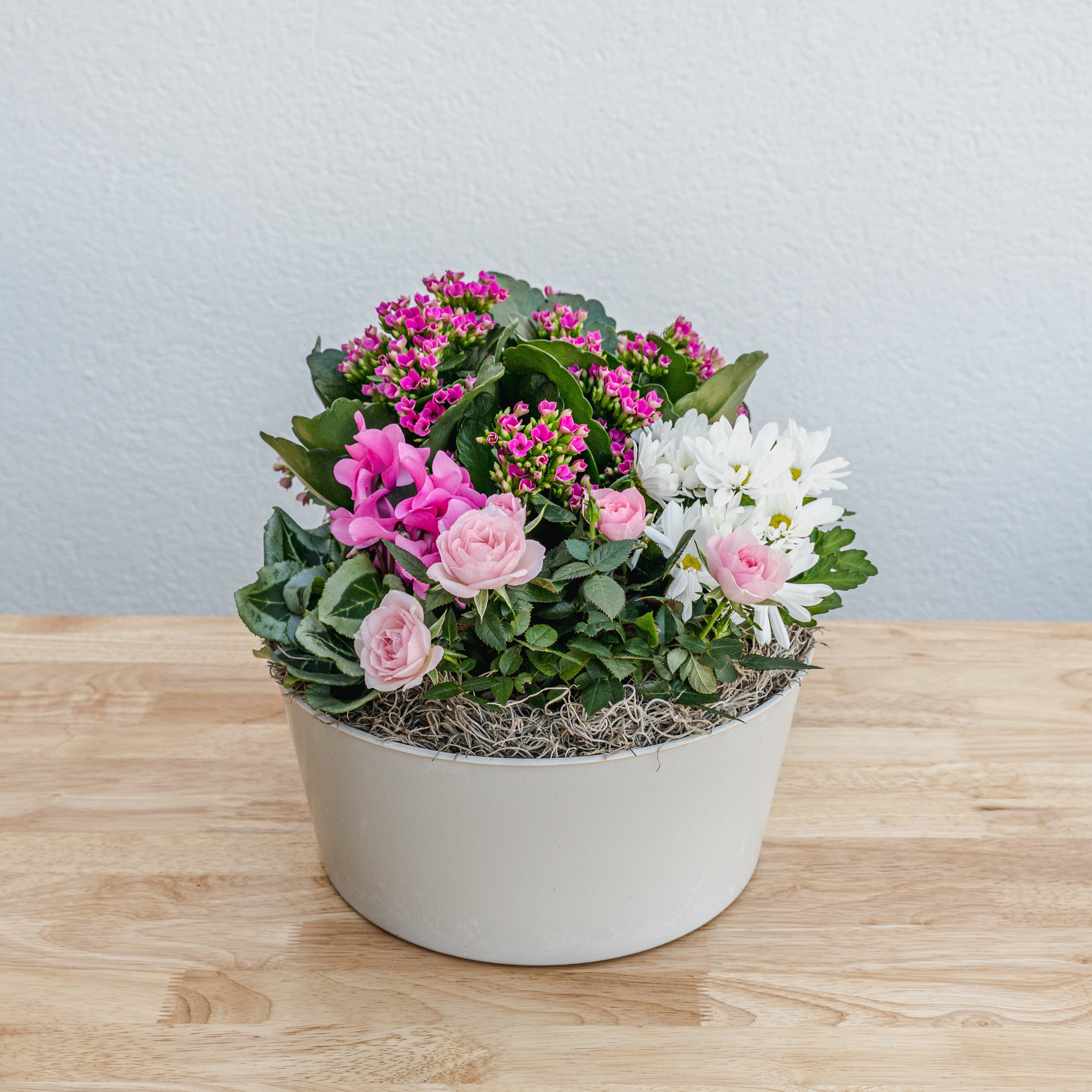 Valentine's Day Garden