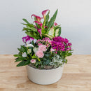 Valentine's Day Garden