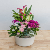 Valentine's Day Garden