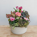 Valentine's Day Garden