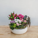 Valentine's Day Garden