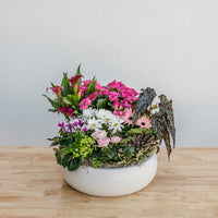 Valentine's Day Garden