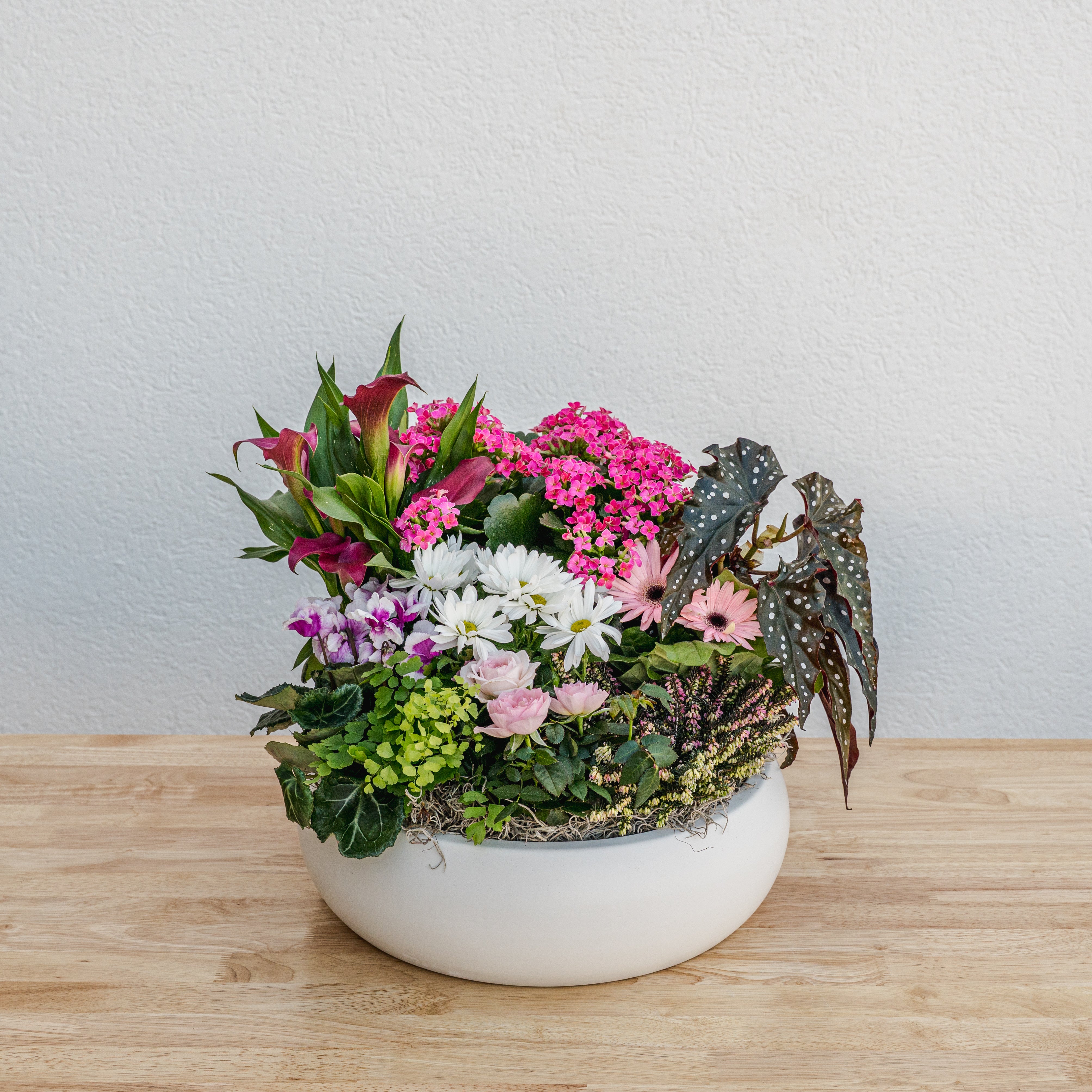 Valentine's Day Garden