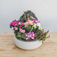 Valentine's Day Garden