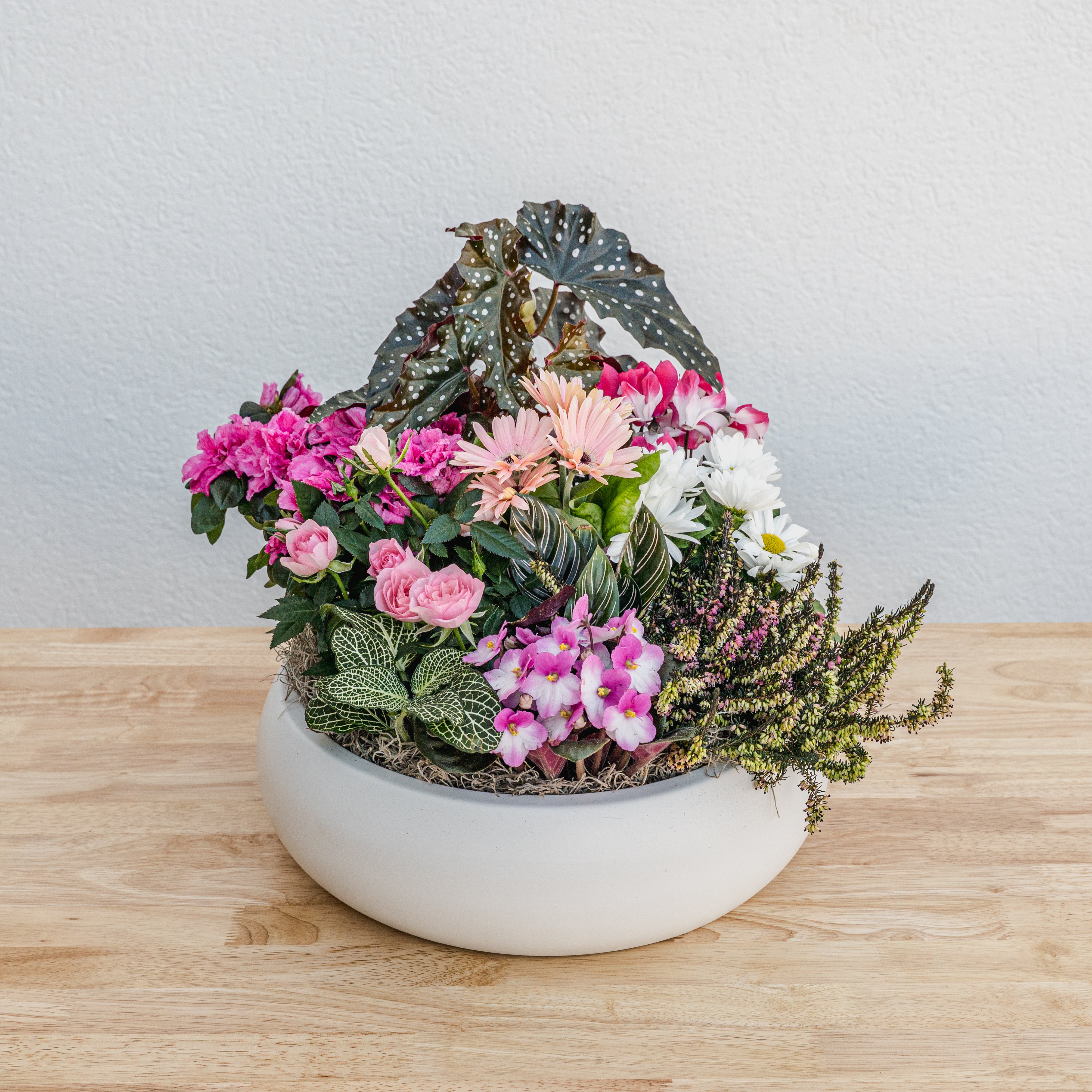 Valentine's Day Garden