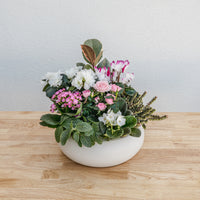 Valentine's Day Garden