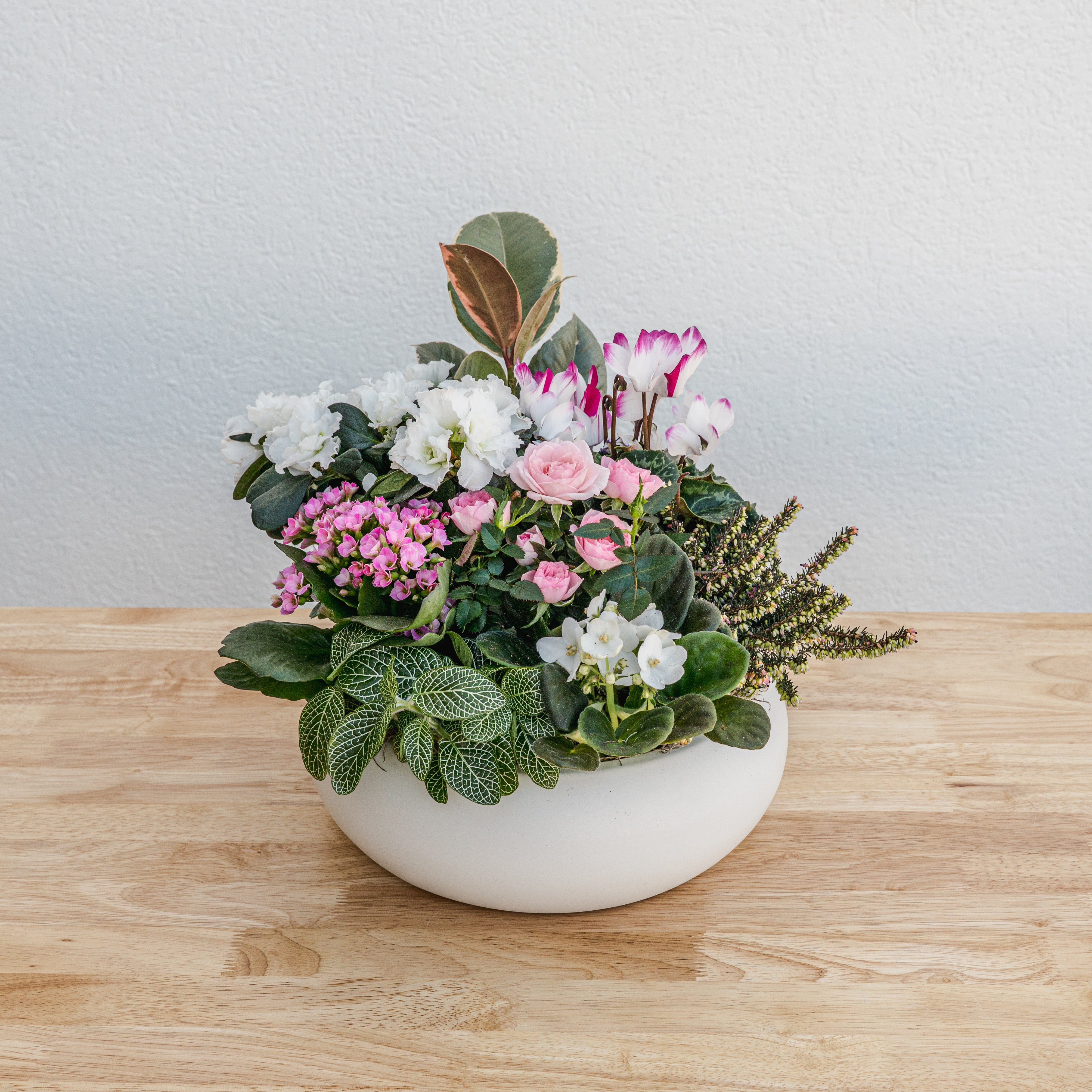 Valentine's Day Garden