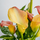 Calla Lily 6"