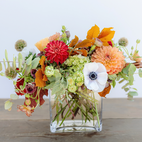 Capital Hotel Exclusive: Fall's Glory