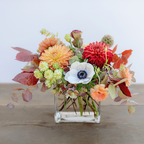 Capital Hotel Exclusive: Fall's Glory