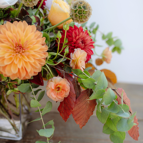 Capital Hotel Exclusive: Fall's Glory