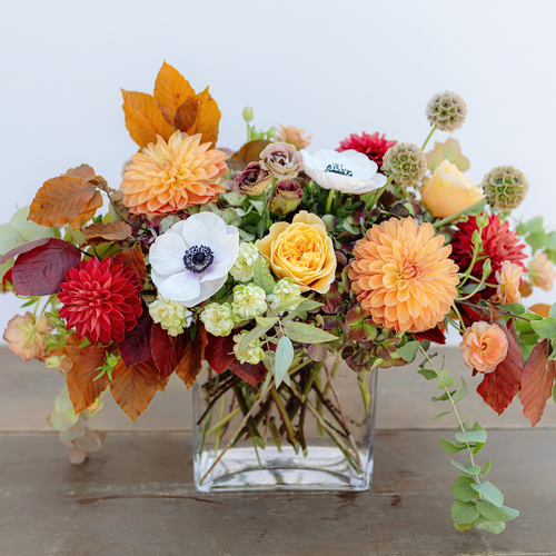 Capital Hotel Exclusive: Fall's Glory