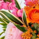 Vibrant - Designer's Choice Arrangement
