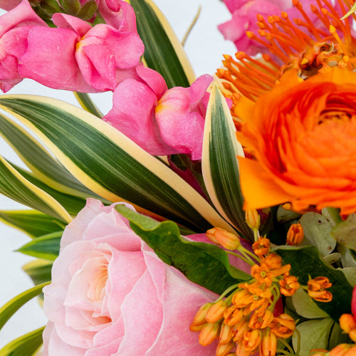 Vibrant - Designer's Choice Arrangement