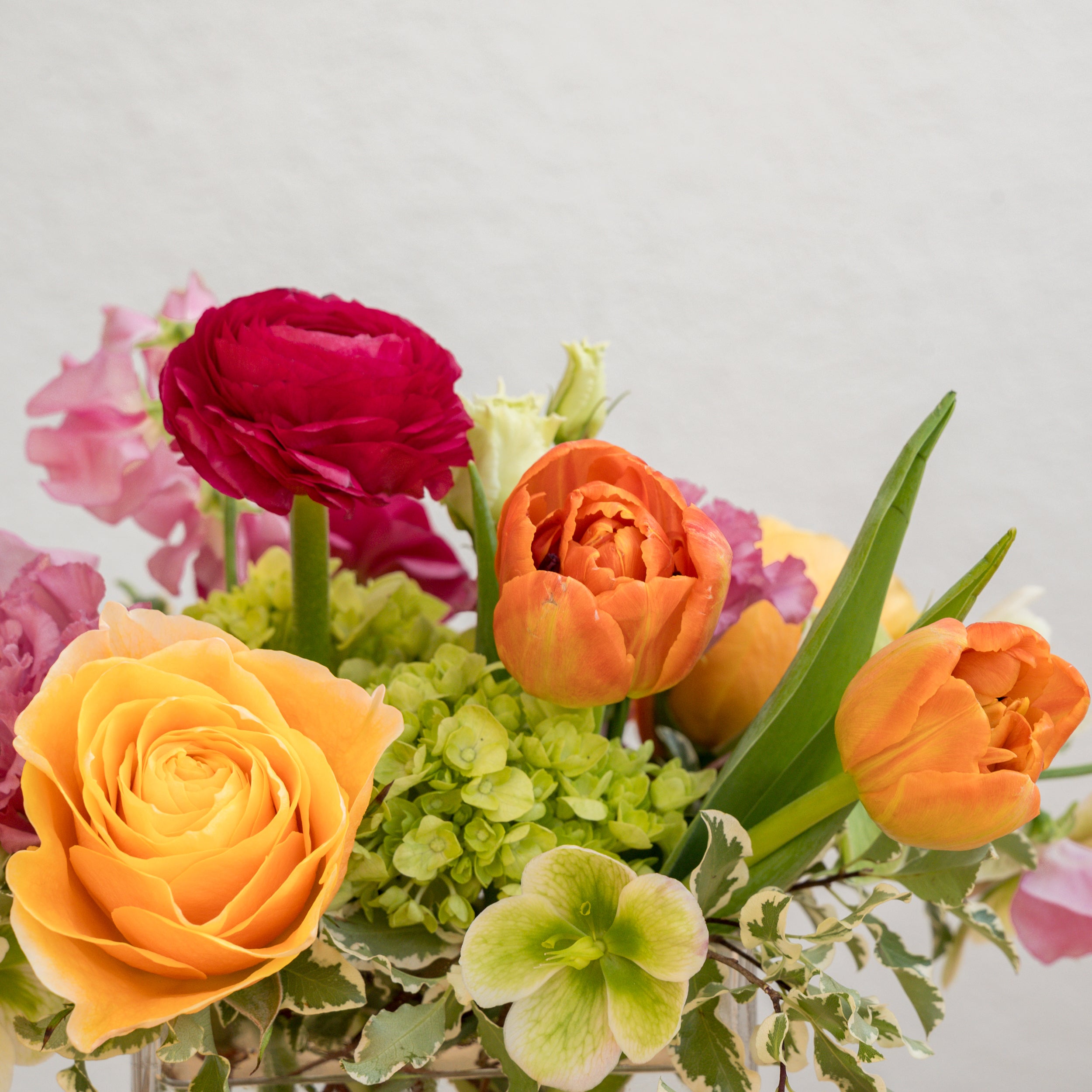 Bright Spring – Tipton & Hurst