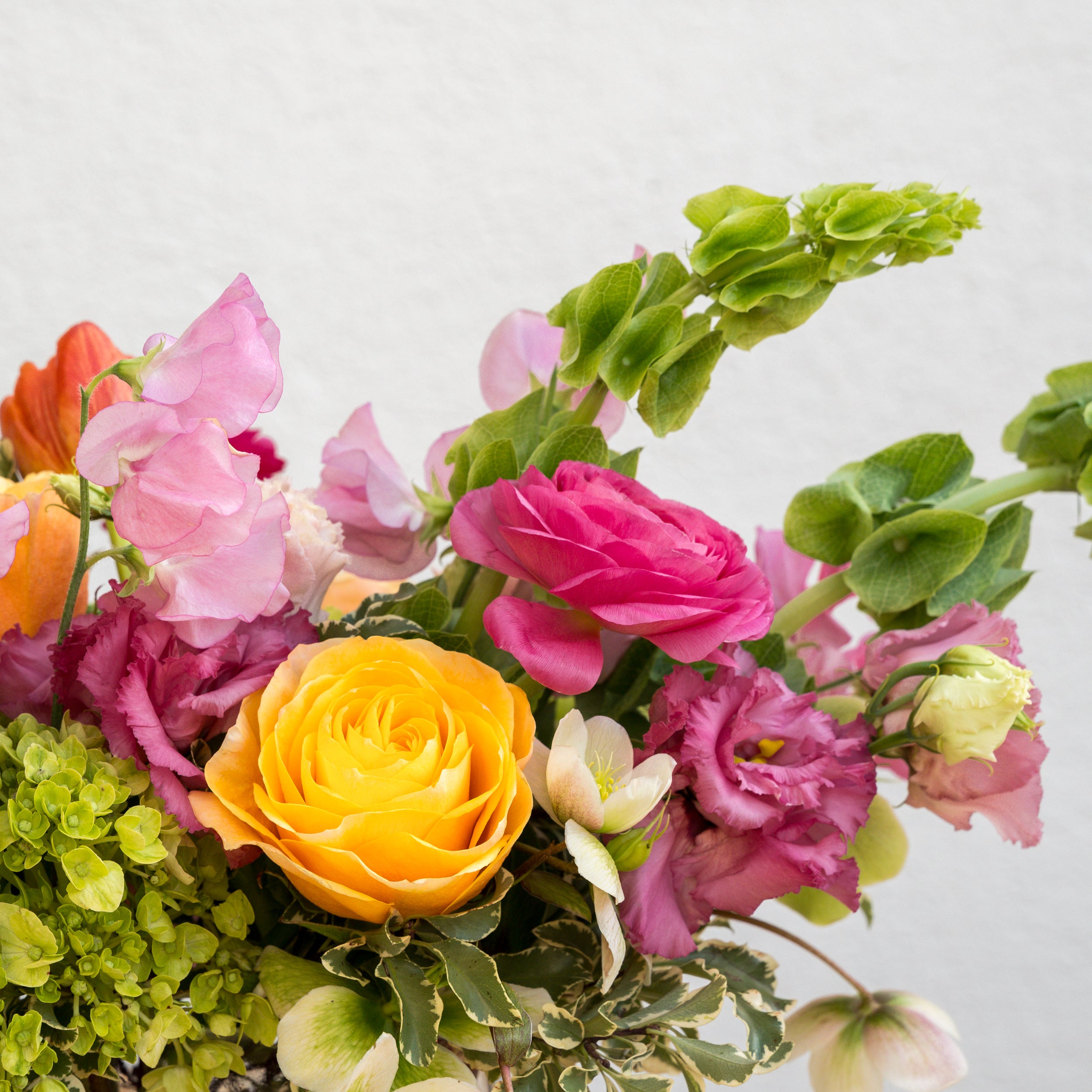 Bright Spring – Tipton & Hurst