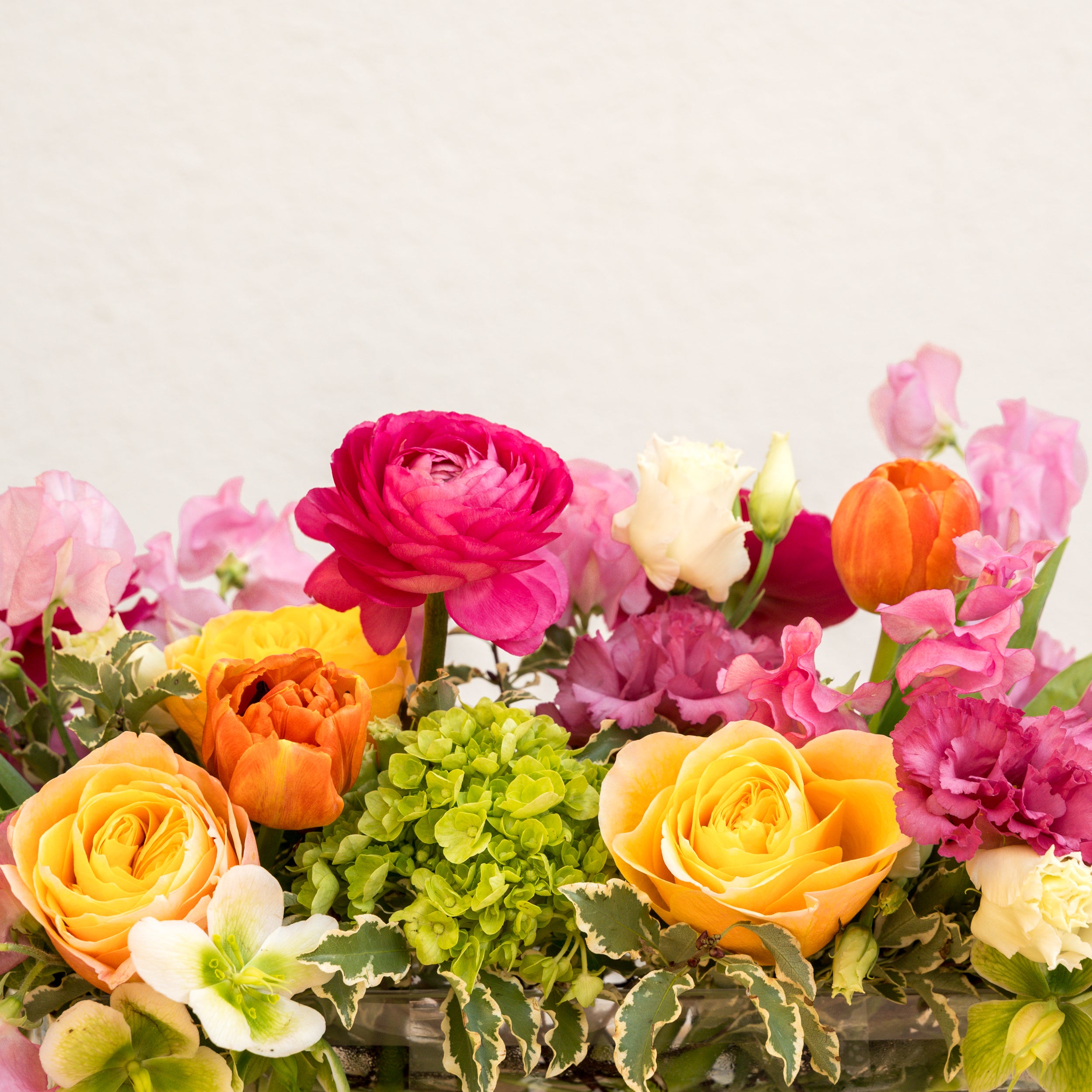 【おまとめ】ANRI【A Special Day】【Spring Bright】 Bright Spring – Tipton & Hurst