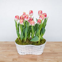 Tulip Double Basket