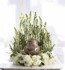 https://cdn.shopify.com/s/files/1/0016/7100/4263/files/TH_Urn_White_Enviro-26b-1-scaled.jpg?v=1728427432