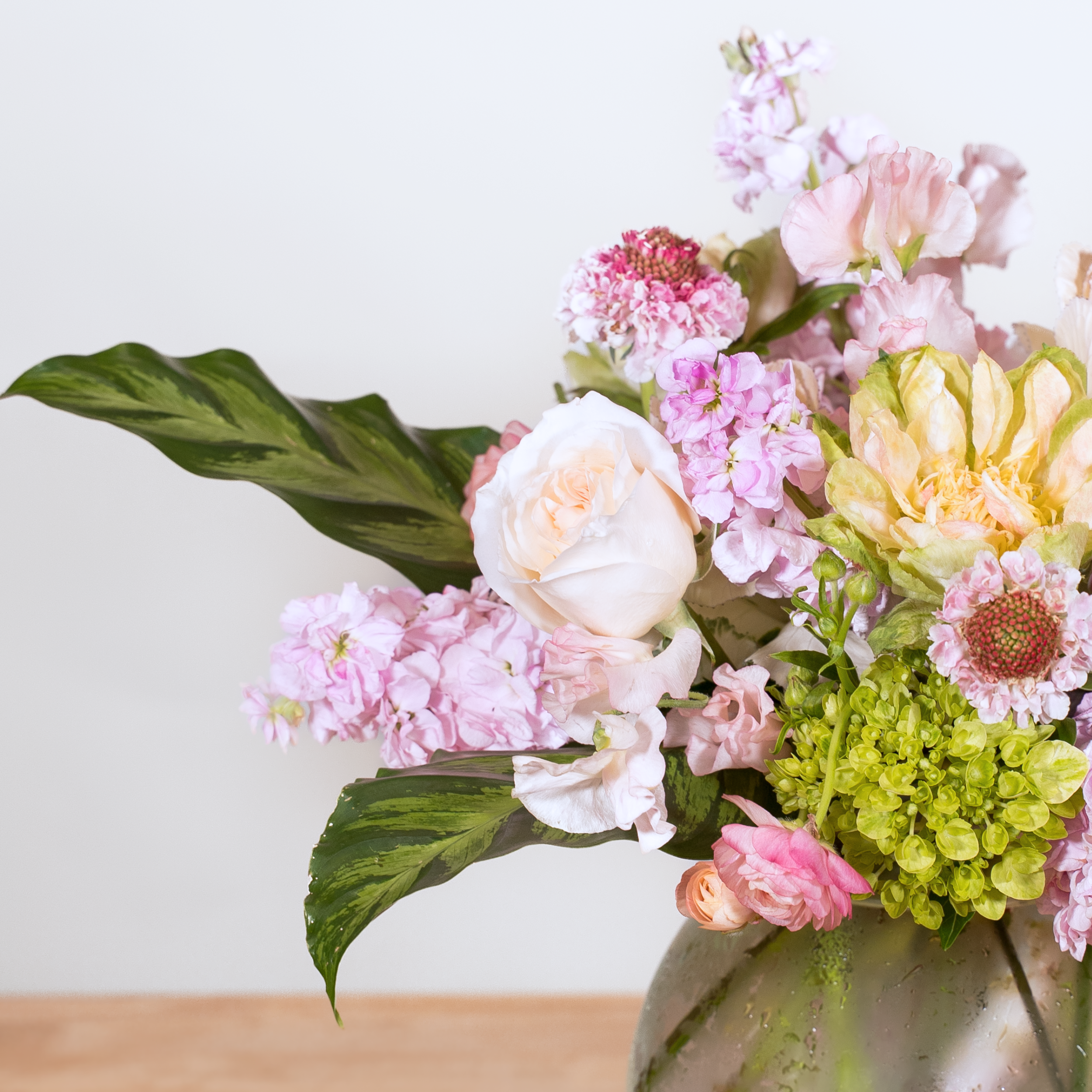 Tropical Blush