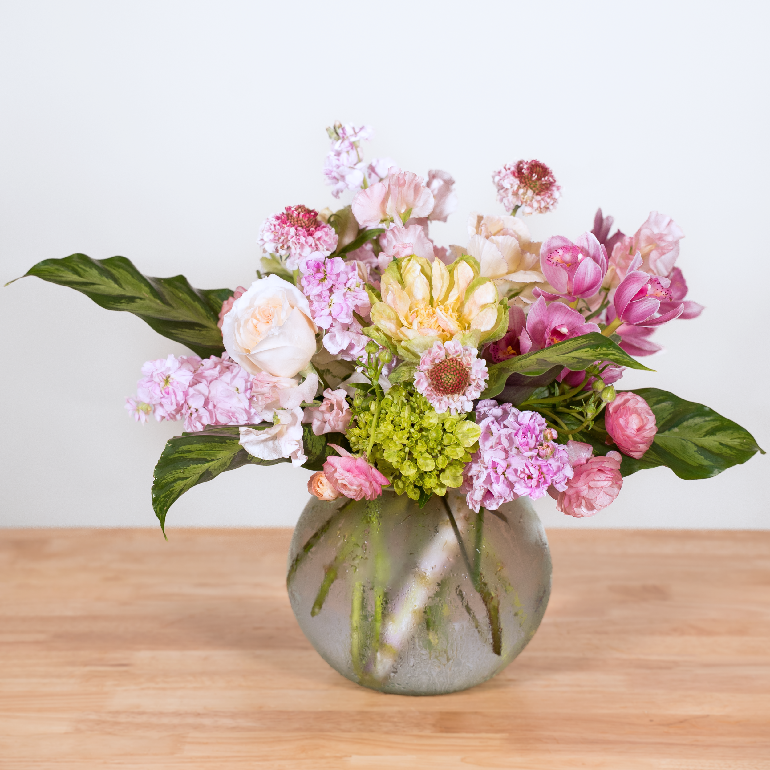 Tropical Blush