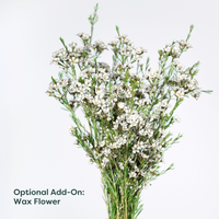 https://cdn.shopify.com/s/files/1/0016/7100/4263/files/Wax_Flower.png?v=1738861331