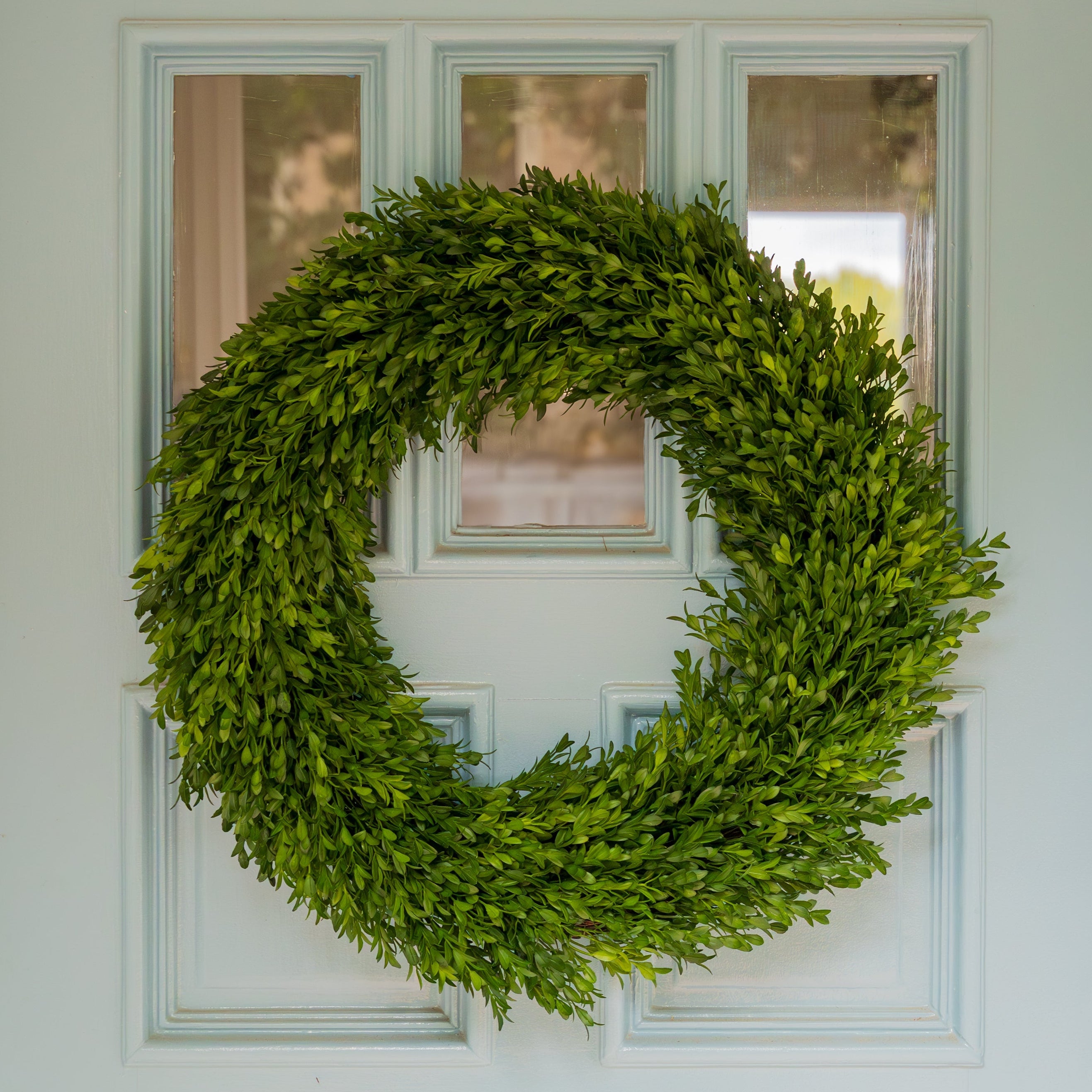 Preserved Boxwood Wreath