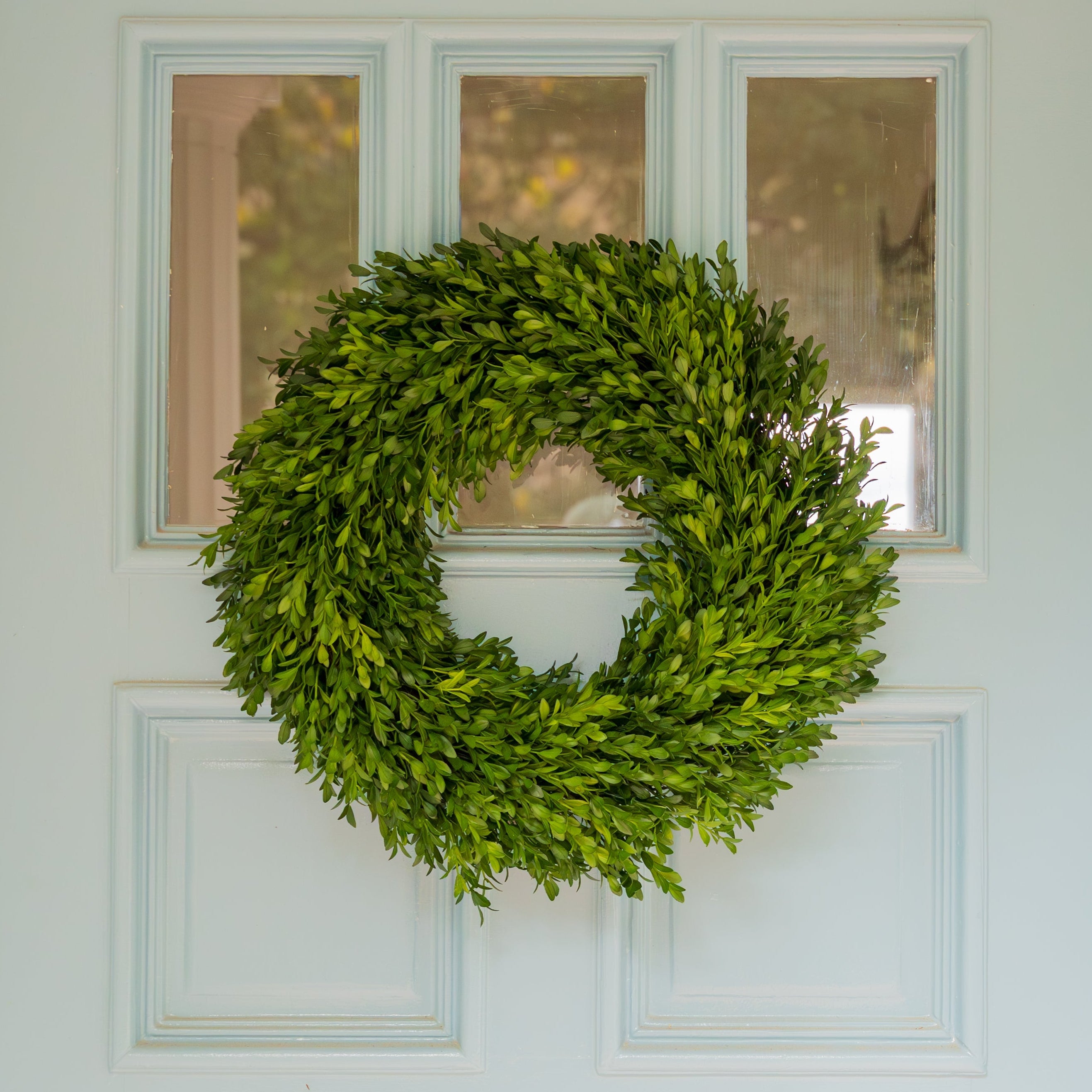 Preserved Boxwood Wreath
