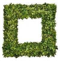 Boxwood Wreath