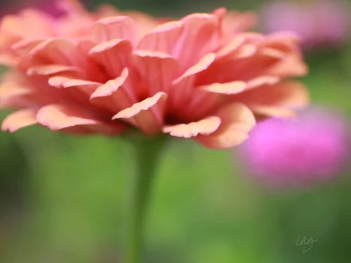 LAG Photography Acrylic Block