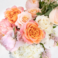 Designer's Choice Arrangement - Peach, Pink, & White Hues