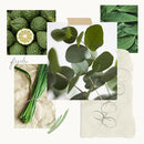 https://cdn.shopify.com/s/files/1/0016/7100/4263/files/eucalyptus-fragrance-experience.webp?v=1741893464