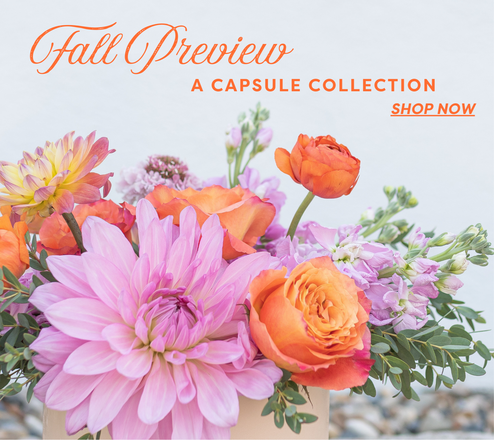 fall_preview_mobile_banner.png