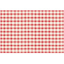 Red Painted Check Paper Placemats