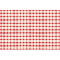 Red Painted Check Paper Placemats
