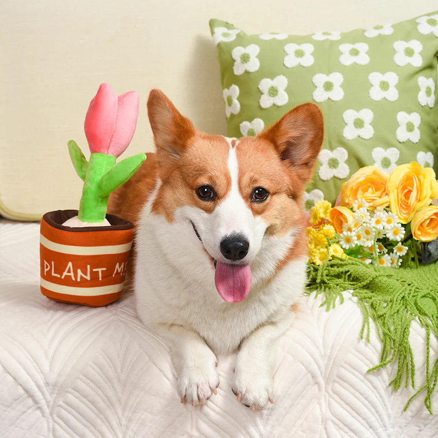 Puppy Garden – Tulip