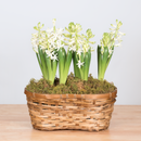 Hyacinth Double Basket