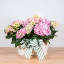 Hydrangea Double Basket