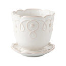 Heirloom Series: Blooming Plant in 5" Juliska Jardins du Monde Planter