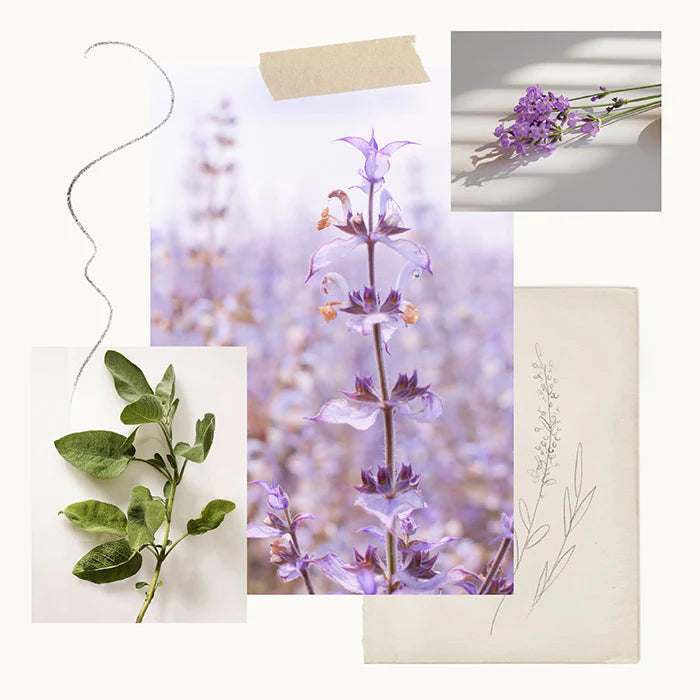 Thymes Lavender Basket