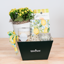 Mom's the Zest Basket