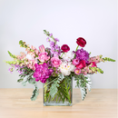 https://cdn.shopify.com/s/files/1/0016/7100/4263/files/prettyinpink.png?v=1738443143