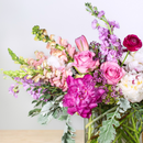 https://cdn.shopify.com/s/files/1/0016/7100/4263/files/prettyinpinkcloseup.png?v=1738443143